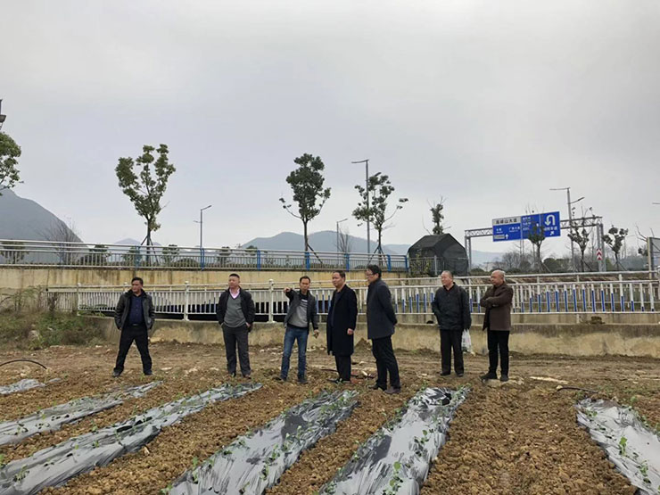 首页- J9集团国际站官网入口