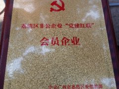 J9集团实业党支部入选首批荔湾