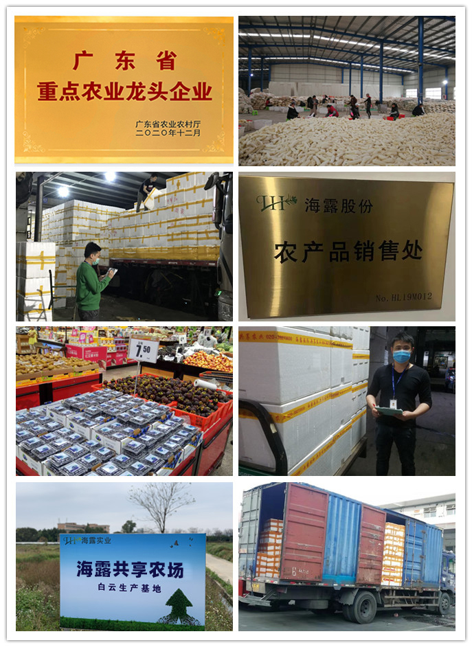 首页- J9集团国际站官网入口
