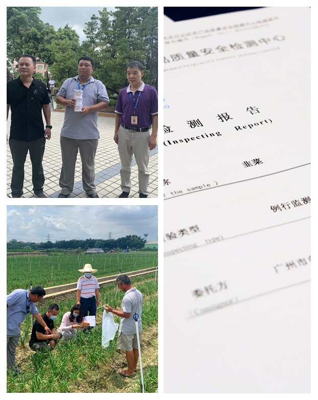 首页- J9集团国际站官网入口