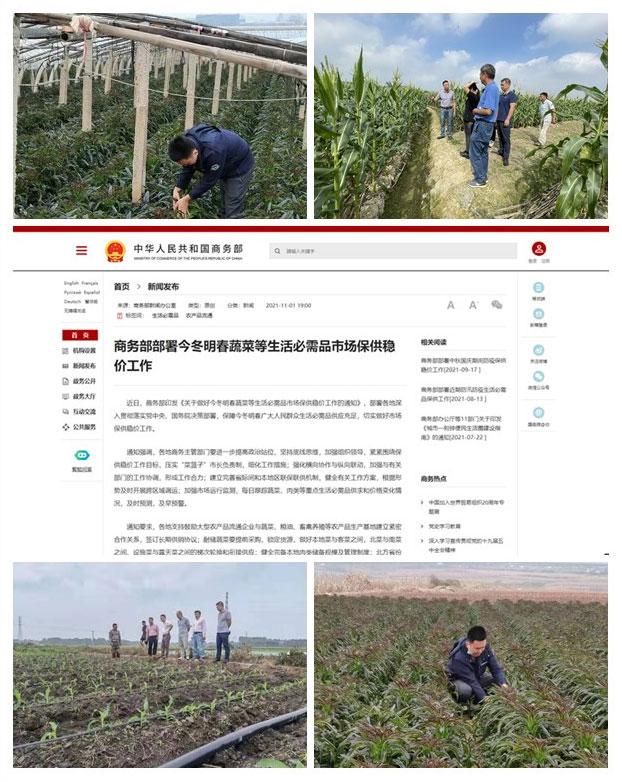 首页- J9集团国际站官网入口