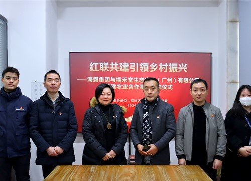 红联共建引领村落振兴，党建促业务深度融合