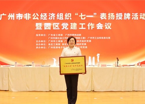 标杆引领，荣誉升级！集团党支部荣膺广州市非公有造经济组织“双强六好”标