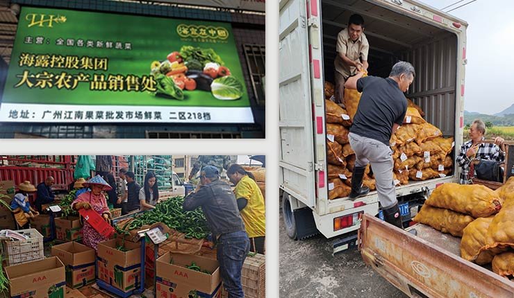 首页- J9集团国际站官网入口
